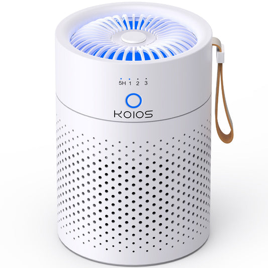 Air Purifiers For Home Bedroom H13 True HEPA Air Filter, Quiet Air