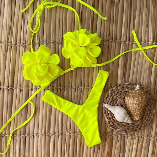 Shelly two piece swimsuit