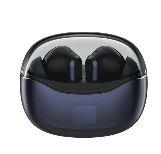 Newly Launched Buds in-Ear Truly Wireless Earbuds with 50H of