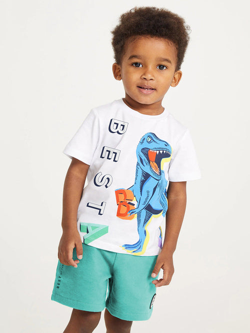 Summer Baby Kids Dinosaur Cartoon Pattern T-shirt and Shorts Clothing