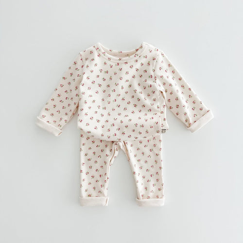 Spring Baby Kids Unisex Cartoon Pattern Print Top And Pants Clothing